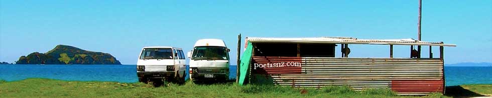 combi vans
